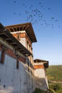 Bumthang Cultural Heritage Tour (10 Days)