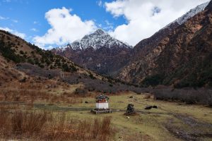 Jhomolhari Mountain Festival (14th -15th October)