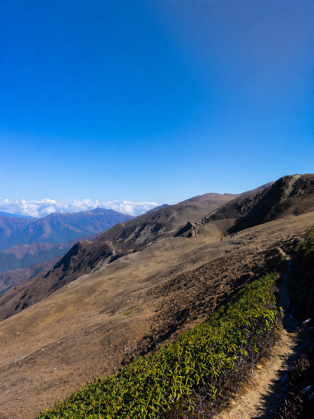 Best trekking places in Bhutan – Dagala Lakes Trek